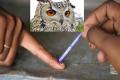 Telangana Politicians Purchased Owls To Bring Misfortune To Opponents In Elections? - Sakshi Post