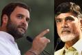 Rahul Gandhi, Chandrababu Naidu - Sakshi Post