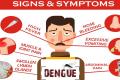 Dengue Cases On Rise - Sakshi Post