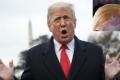 Donald Trump Name For Blind Amphibian - Sakshi Post