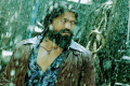 KGF Bollywood Collections - Sakshi Post