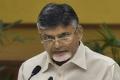 Andhra Pradesh Chief Minister Nara Chandrababu - Sakshi Post