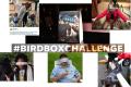 Bird Box Challenge Bird Box Challenge - Sakshi Post