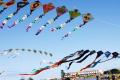 Kite Flying Claims Two Lives In Hyderabad - Sakshi Post