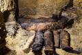 Fifty Mummies Dating Back To Ptolemaic Era Found - Sakshi Post