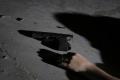 Woman Shot Dead By Great Grandson In UP Over Land Dispute - Sakshi Post