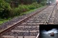 Chopped Body Parts Of Child Found Near Rail Track In Thane - Sakshi Post