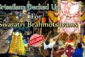 Srisailam Decked Up For Shivaratri Brahmotsavams - Sakshi Post