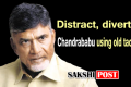 Andhra Pradesh chief Minister Chandrababu Naidu Andhra Pradesh chief Minister Chandrababu Naidu - Sakshi Post