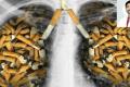 Smoking: The No.1 Cause Of Preventable Disease And Death - Sakshi Post