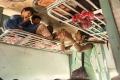 Over 73,000 Transgenders Arrested For Extorting Money From Railway Passengers - Sakshi Post