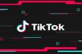 TikTok App - Sakshi Post