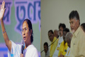 TDP supremo Chandrababu Naidu’s self-styled “facilitator” role in the Opposition unity does not go down well with many regional party leaders, particularly TMC chief Mamata Banarjee who herself eyeing the coveted position TDP supremo Chandrababu Naidu’s self-styled “facilitator” role in the Opposition unity does not go down well with many regional party leaders, particularly TMC chief Mamata Banarjee who herself eyeing the coveted position - Sakshi Post