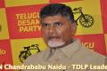 N Chandrababu Naidu - TDLP Leader&amp;amp;nbsp; - Sakshi Post