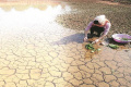 Representational Image - Sakshi Post