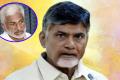 Vijayasai Reddy accused  Chandrababu Naidu and his “gang of leaders” of scheming to gain sympathy from people by making the demolition of Praja Vedika controversial.&amp;amp;nbsp; &amp;amp;nbsp;  &amp;amp;nbsp; - Sakshi Post