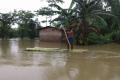 Assam floods&amp;amp;nbsp; - Sakshi Post