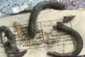 In a bizarre incident, a man bit a snake into pieces after the reptile attacked him - Sakshi Post