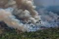 Amazon Fires: Brazil Rejects G7 Aid - Sakshi Post