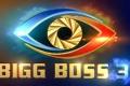 Telugu Bigg Boss 3 - Sakshi Post