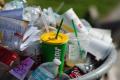 Issue Guidelines To Remove Confusion On Single-use Plastic: CAIT To Javadekar - Sakshi Post