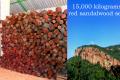 Red Sandal Wood Seized&amp;amp;nbsp; - Sakshi Post