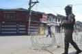 At least 11 civilians were injured on Saturday when militants hurled a grenade at a crowded market in summer capital Srinagar. - Sakshi Post