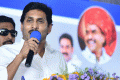Cheques Distributed To AgriGold Victims Cheques Distributed To AgriGold Victims - Sakshi Post