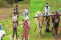 Tenant Farmers Are Eligible For YSR Rythu Bharosa Scheme : AP Govt Tenant Farmers Are Eligible For YSR Rythu Bharosa Scheme : AP Govt - Sakshi Post