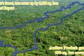 AP In Top 3 States In Terms Of Increase In Forest Cover - Sakshi Post
