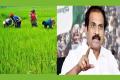 AP Minister for Agriculture, Kurasala Kannababu&amp;amp;nbsp; - Sakshi Post