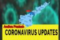 Andhra Pradesh Coronavirus Case Updates - Sakshi Post