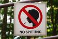 Representational Image - Sakshi Post