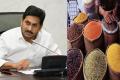 AP CMYS Jagan Mohan Reddy - Sakshi Post