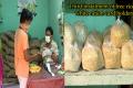 3rd Installment Of Free Rations To White Ration Card Holders In Andhra Pradesh - Sakshi Post
