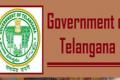 Telangana State  Government Bans Sale and Use of Firecrackers Diwali 2020 - Sakshi Post