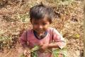 MP Boy Prahlad, Who Fell In Borewell,Dies,Nihari 5 year old borewell - Sakshi Post
