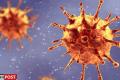 UK New Mutant Coronavirus Variant - Sakshi Post