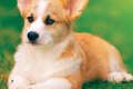  - Sakshi Post