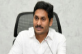 - Sakshi Post