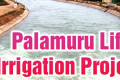 - Sakshi Post