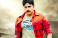 - Sakshi Post