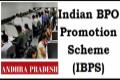 AP tops list of states in new job creation under IBPS scheme - Sakshi Post