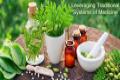 Leveraging Traditional Systems of  Indian Medicine, AYUSH - Sakshi Post