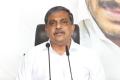 Sajjala Ramakrishna Reddy YSRCP Victory in Eluru and Municipal Elections Unprecedented in The History of AP: Sajjala - Sakshi Post