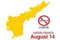  Night curfew extended in Andhra Pradesh till August 14 - Sakshi Post