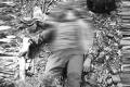 Maoist killed in police encounter in Bhadradri Kothagudem district - Sakshi Post