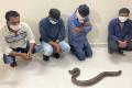 Hyderabad: Four Held For Trying To Sell Red Sand Boa Snake - Sakshi Post