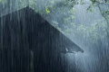 - Sakshi Post