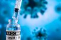 Covid Vaccination - Tamil Nadu - Alcohol - Nilgiris Dsitrict - Sakshi Post